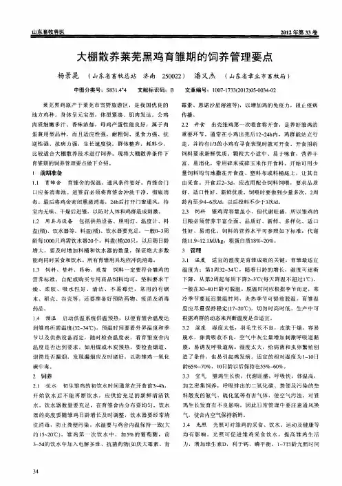 大棚散养莱芜黑鸡育雏期的饲养管理要点
