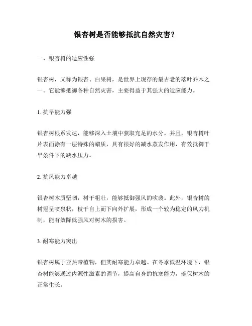 银杏树是否能够抵抗自然灾害？