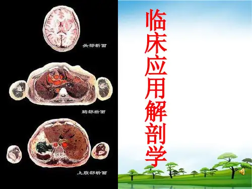 颅部临床应用解剖
