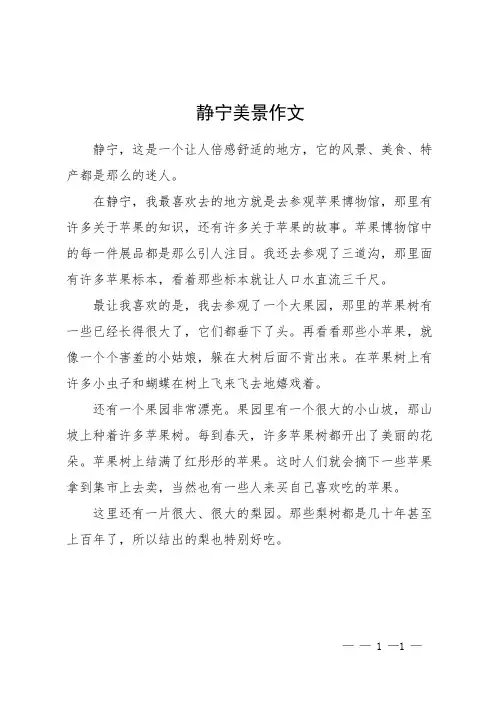 静宁美景作文