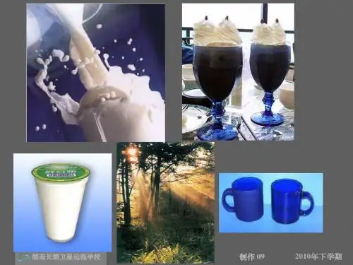 化学课件《物质的分类》优秀ppt30 人教课标版