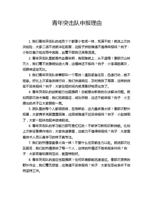 青年突击队申报理由