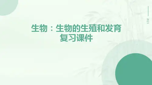 生物：生物的生殖和发育复习课件