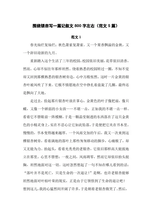 围绕银杏写一篇记叙文800字左右