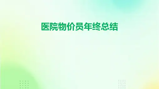 医院物价员年终总结PPT