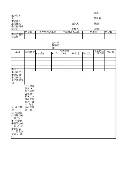应付账款项目审计工作底稿