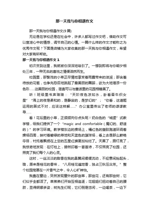 那一天我与你相遇作文