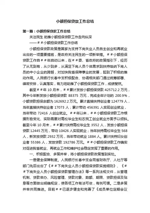 小额担保贷款工作总结
