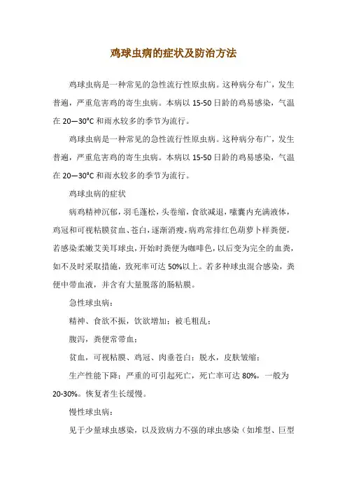 鸡球虫病的症状及防治方法