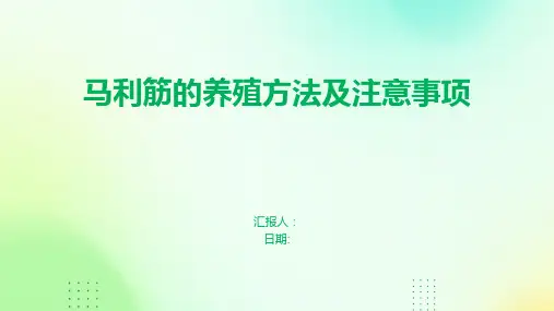 马利筋的养殖方法及注意事项