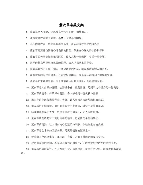 薰衣草唯美文案