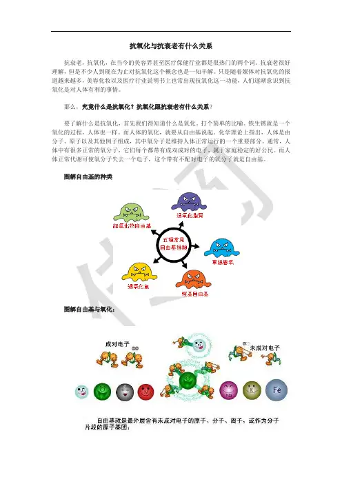 图解抗氧化与抗衰老的关系