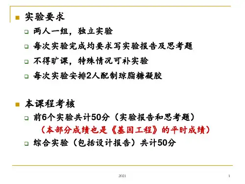 现代生物技术综合实验PPT课件
