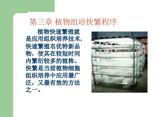 植物组培快繁程序