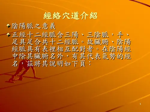 经络穴道介绍