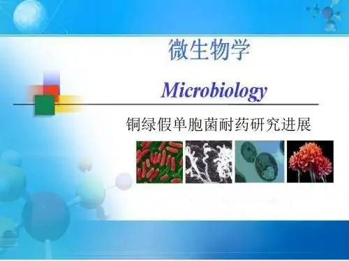 铜绿假单胞菌的耐药