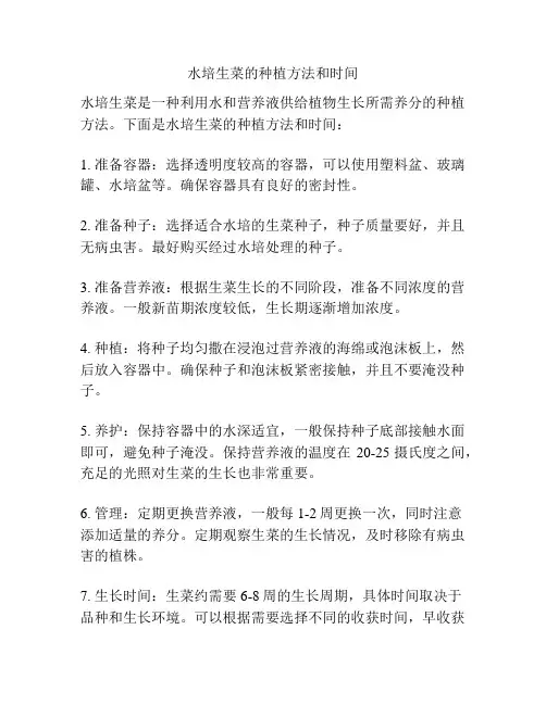 水培生菜的种植方法和时间