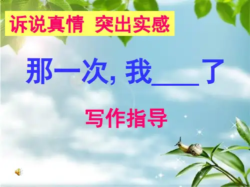 那一次我了指导(课堂PPT)