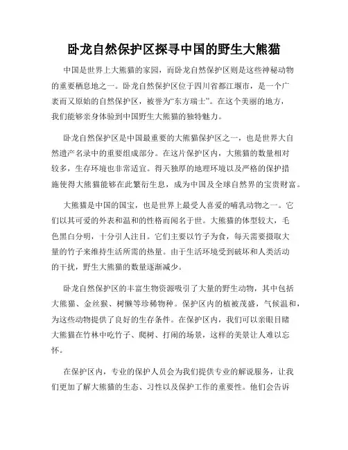 卧龙自然保护区探寻中国的野生大熊猫