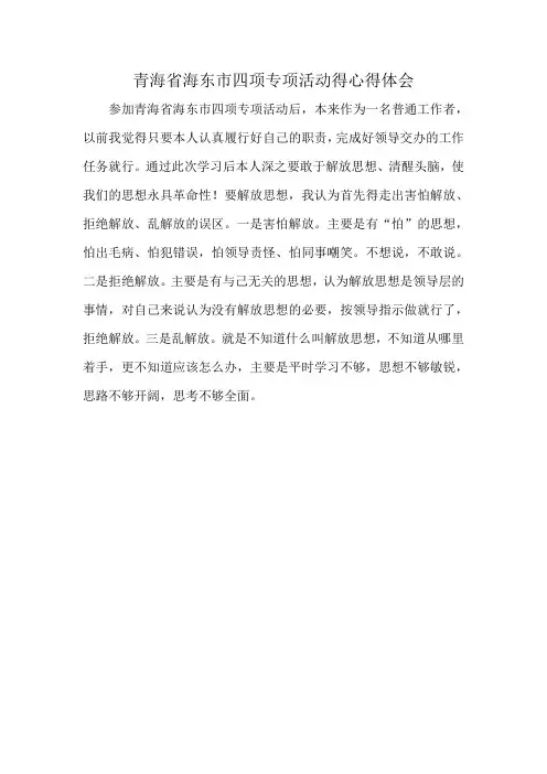 青海省海东市四项专项活动得心得体会