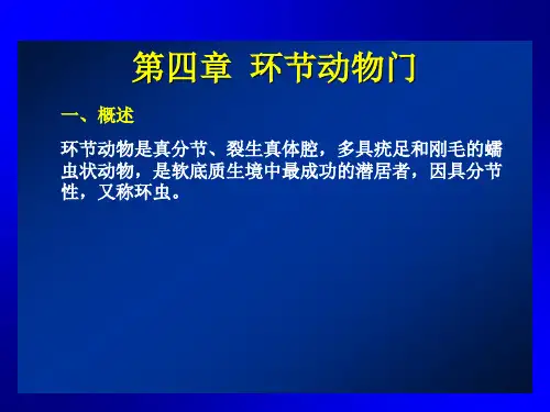 第四章  环节动物门