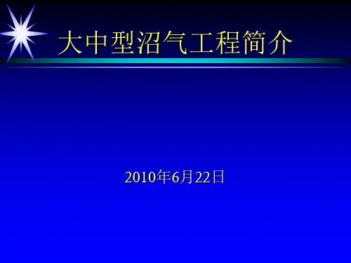 大中型沼气工程简介上传稿.ppt
