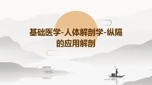 基础医学-人体解剖学-纵隔的应用解剖