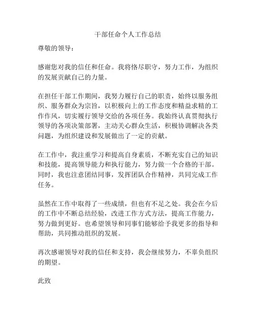 干部任命个人工作总结