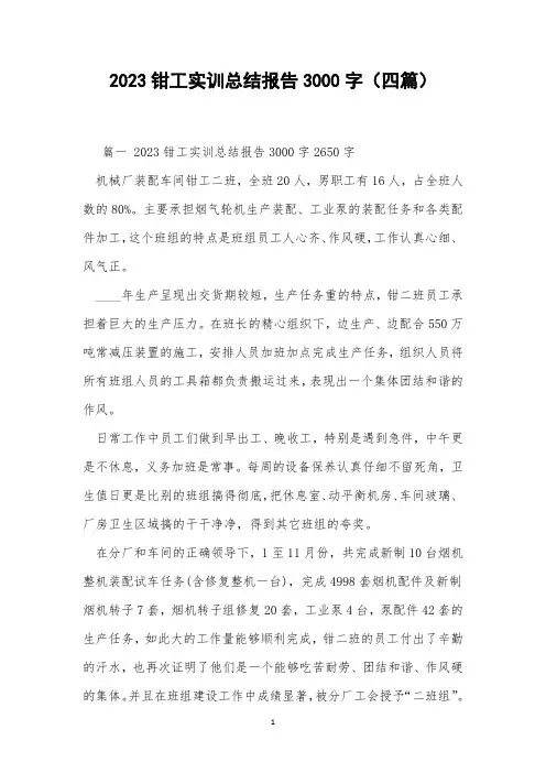 2023钳工实训总结报告3000字(四篇)