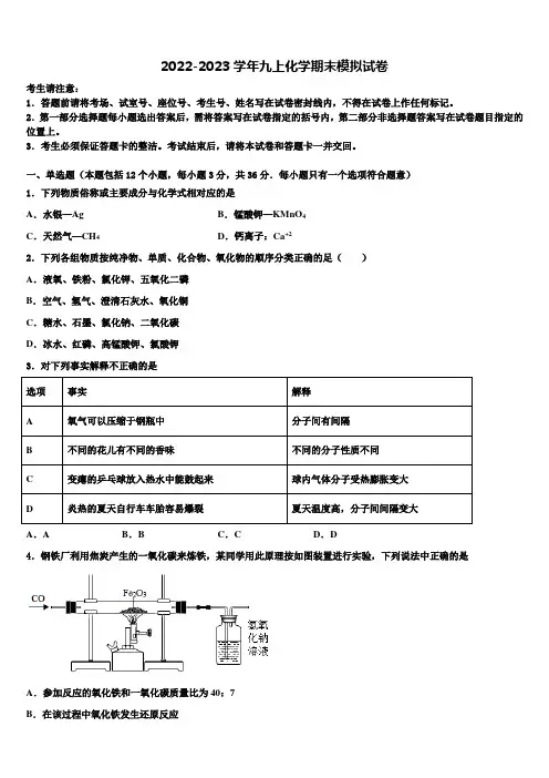 2023届漳州市重点中学化学九年级第一学期期末监测模拟试题含解析