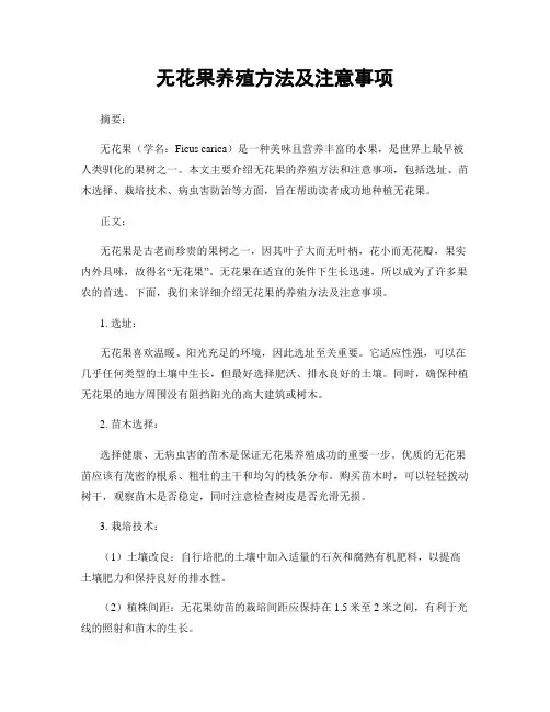 无花果养殖方法及注意事项