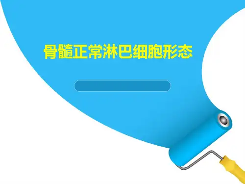骨髓正常淋巴细胞形态