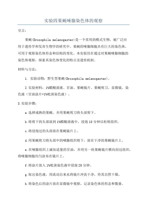 实验四果蝇唾腺染色体的观察