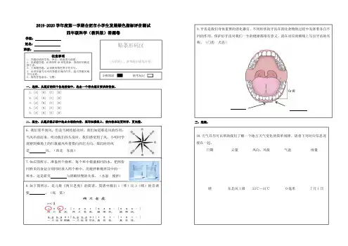 2019-2020 学年度第一学期合肥市小学生发展绿色指标评价测试 四年级科学(教科版)答题卷