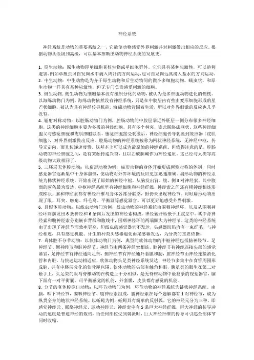 动物生物学_神经系统