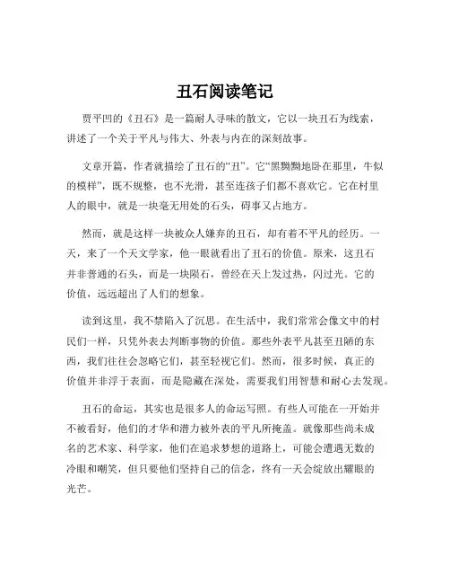 丑石阅读笔记