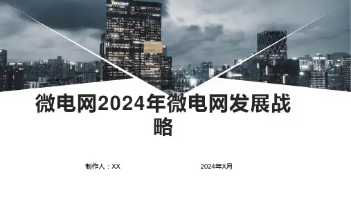 微电网2024年微电网发展战略