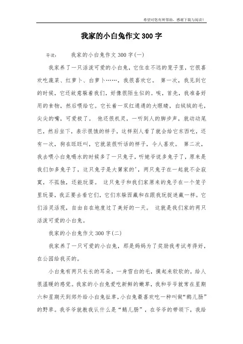 我家的小白兔作文300字