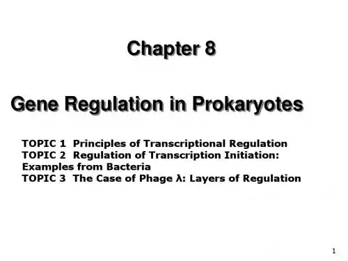 CHAPTER8 regulation in prokaryote