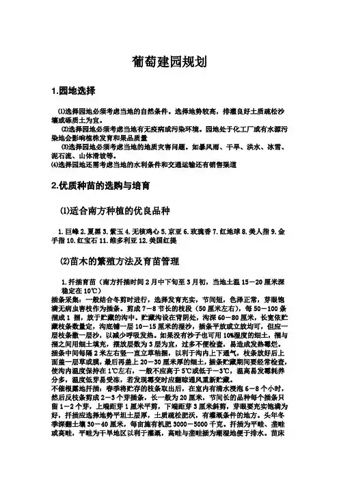 葡萄建园规划