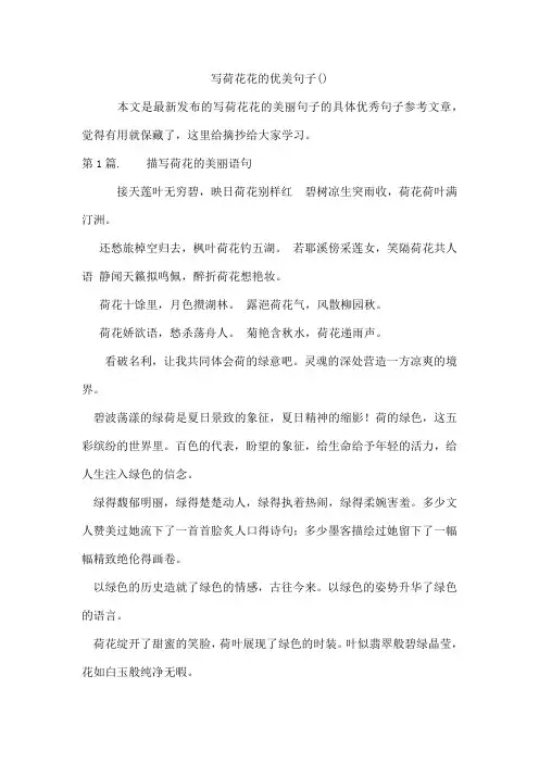 写荷花花的优美句子