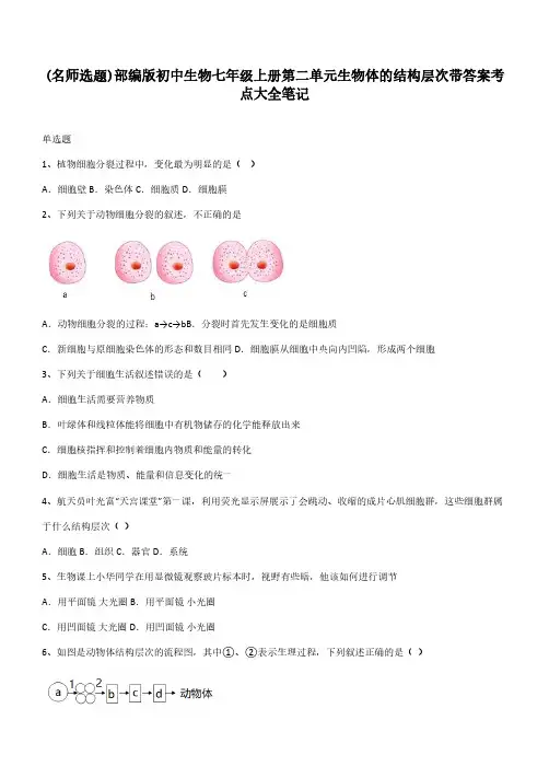 部编版初中生物七年级上册第二单元生物体的结构层次带答案考点大全笔记