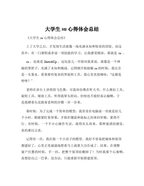 大学生su心得体会总结
