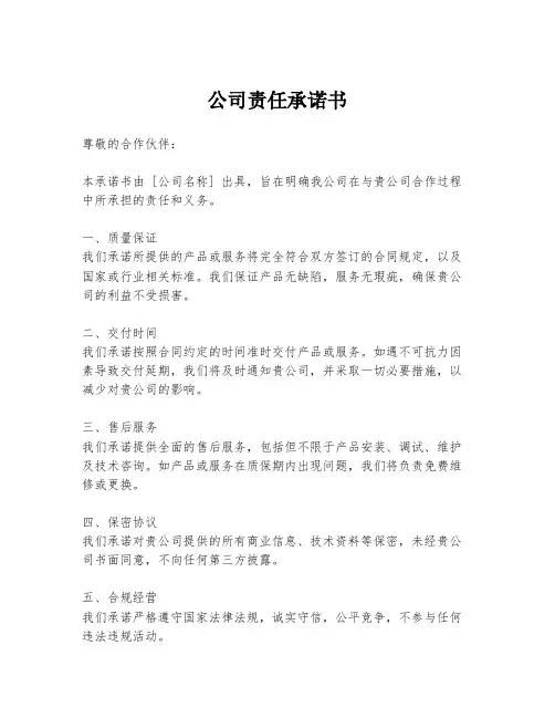 公司责任承诺书