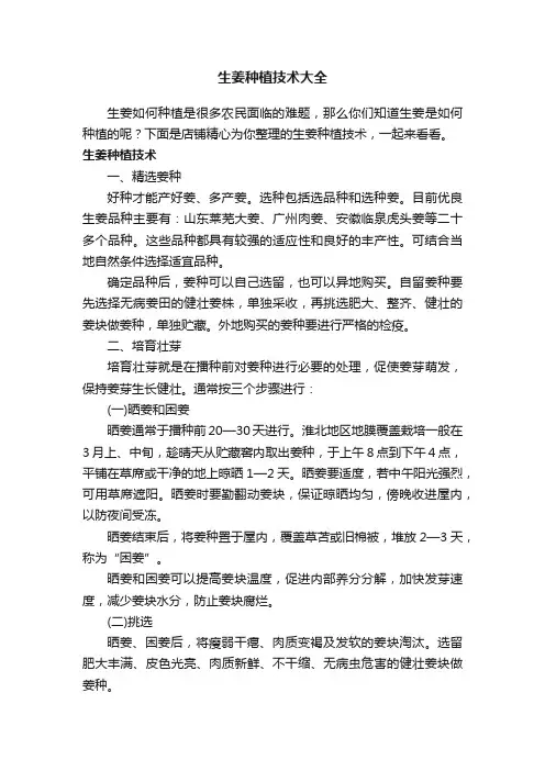 生姜种植技术大全