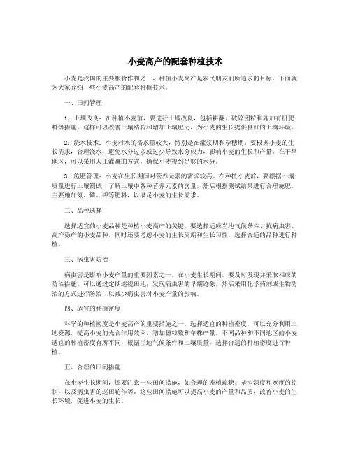 小麦高产的配套种植技术