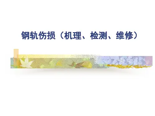 钢轨伤损-标准-检测与维修可修改文字