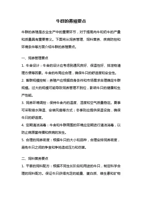 牛群的养殖要点
