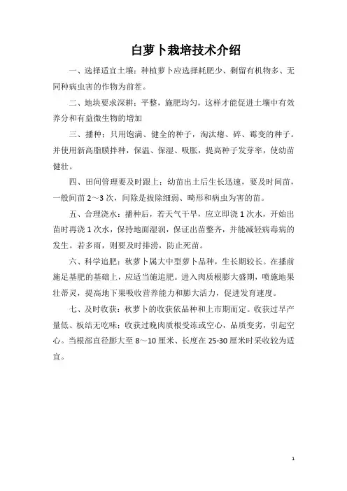 白萝卜栽培技术介绍