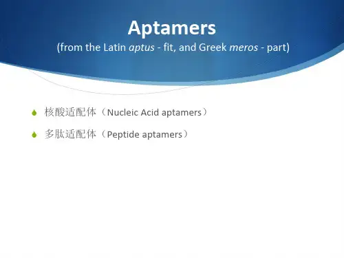 核酸适配体ppt课件